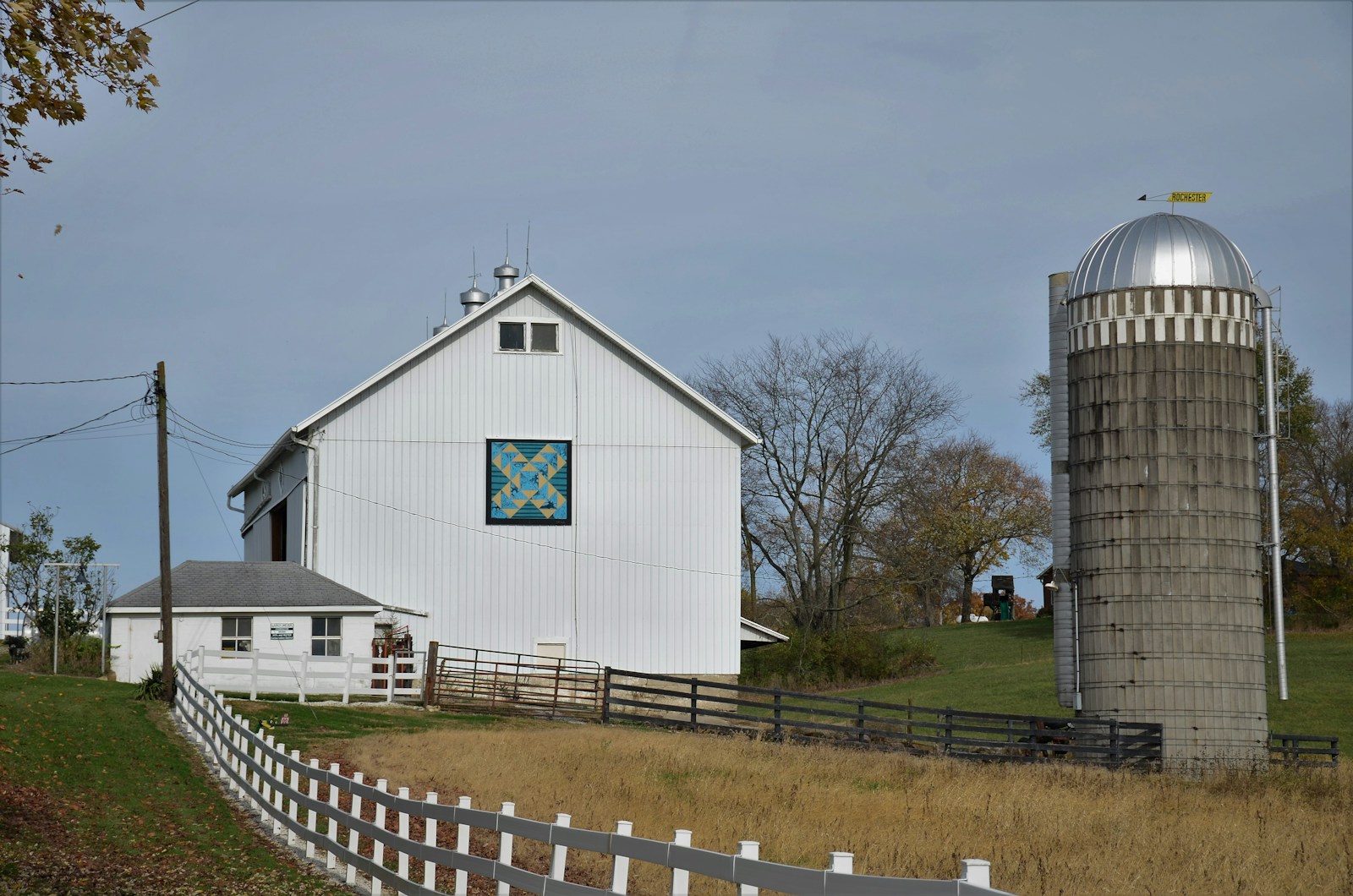 white wooden house near bare trees under white sky during daytime